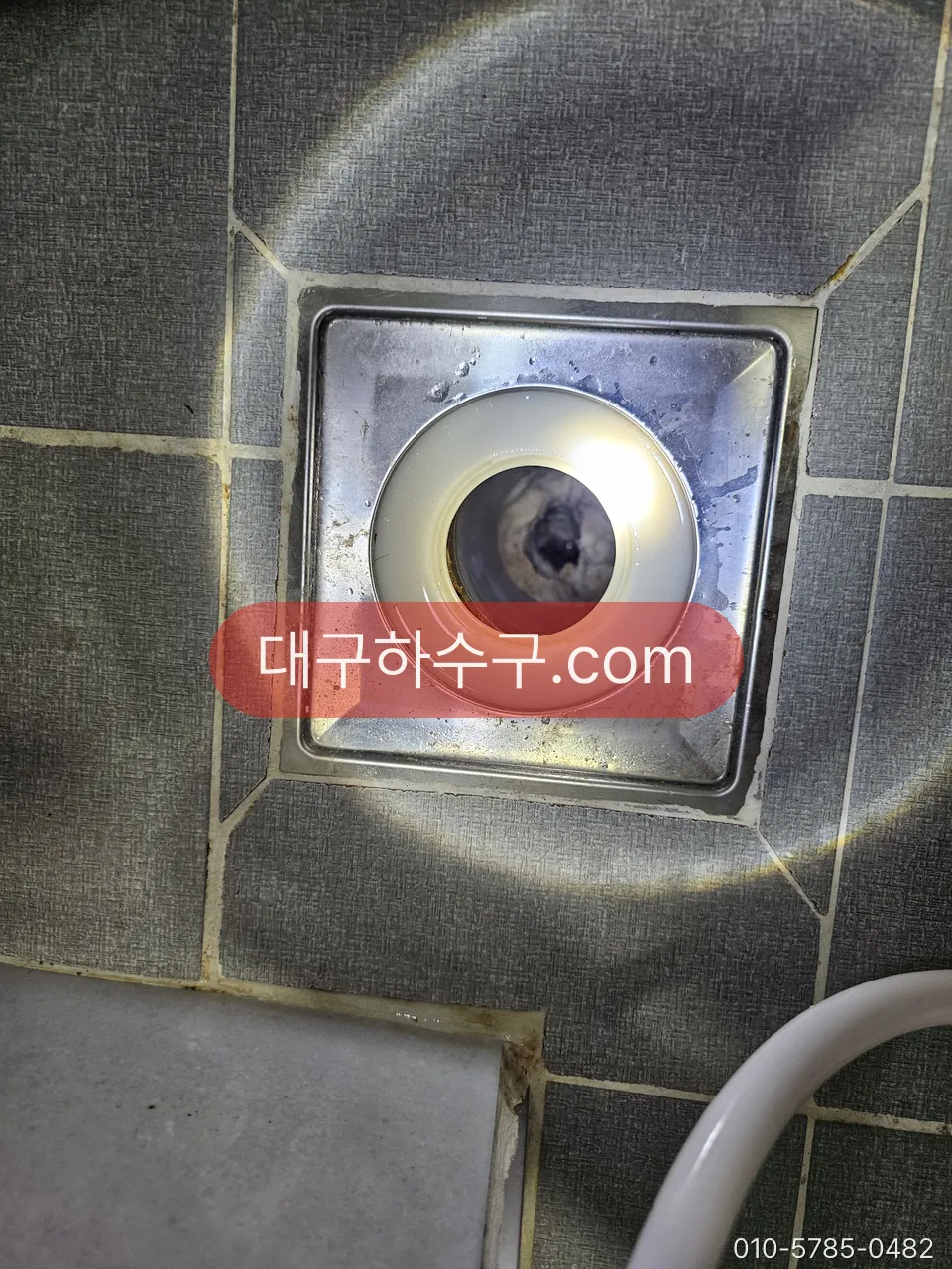 욕실 바닥 배수구 트랩(유가) 안쪽 — 물이 고여 있어야 냄새와 나방파리가 막히는 자리