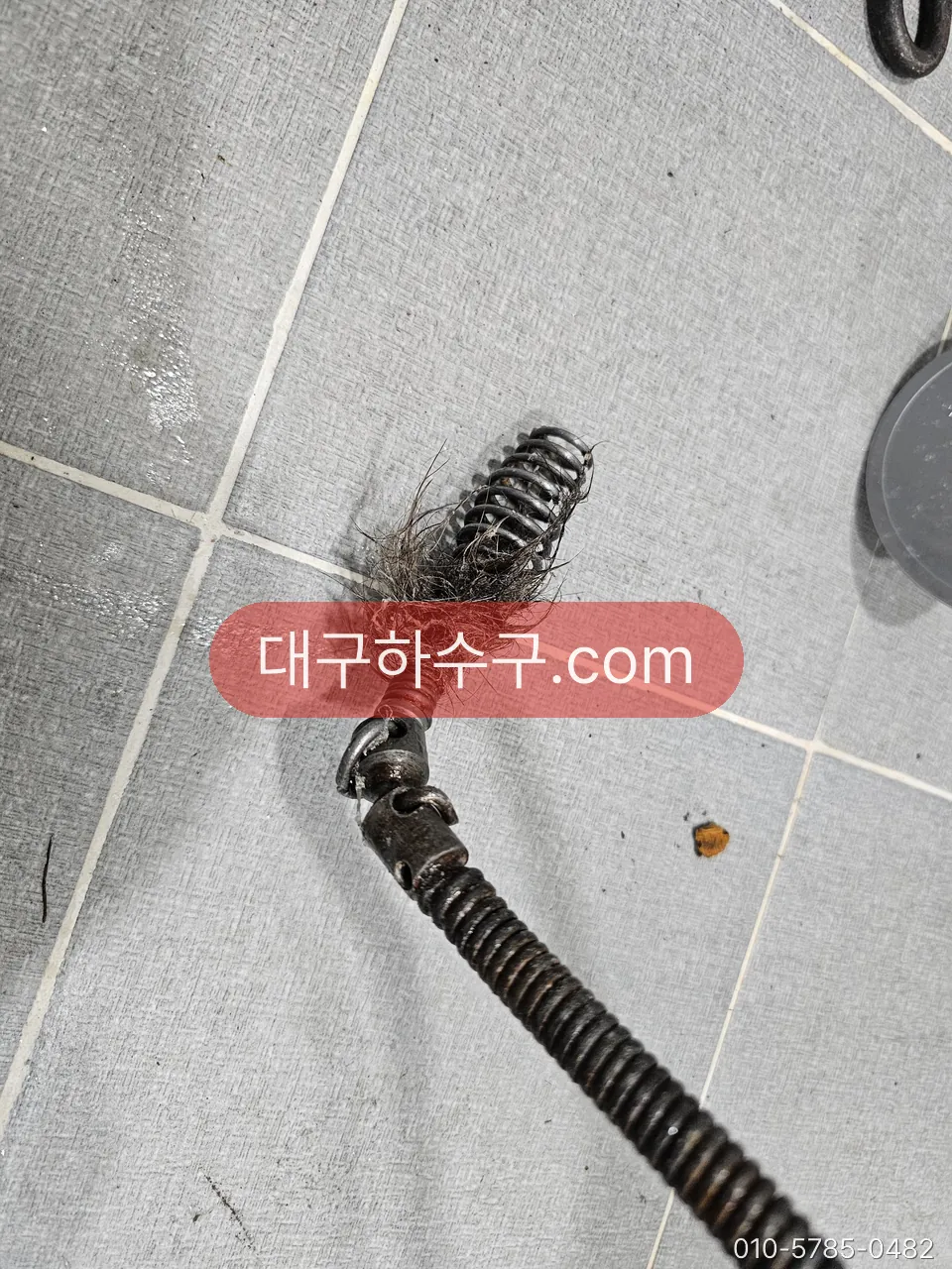 배수구에서 스프링으로 끌어낸 머리카락 뭉치